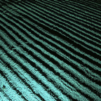 (null)